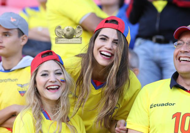 Los hinchas de Ecuador se ilusionan con la Selección por su buen momento en eliminatorias